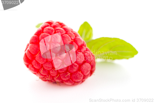 Image of Raspberries with leaves