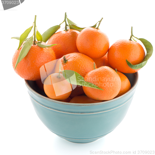 Image of Tangerines on ceramic blue bowl 