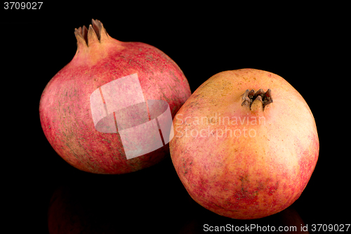 Image of Ripe pomegranate fruit