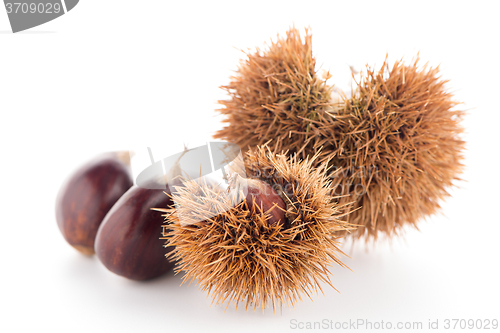 Image of Chestnuts with shell 