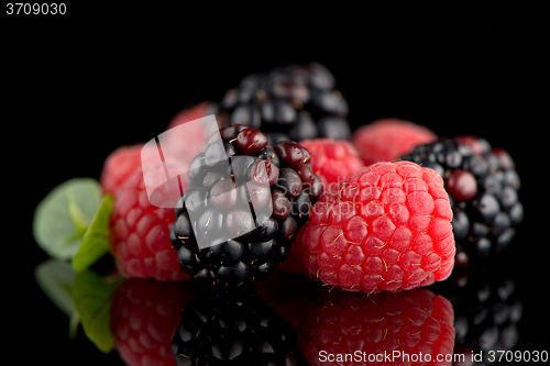 Image of Blackberry and raspberry