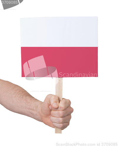 Image of Hand holding small card - Flag of Poland