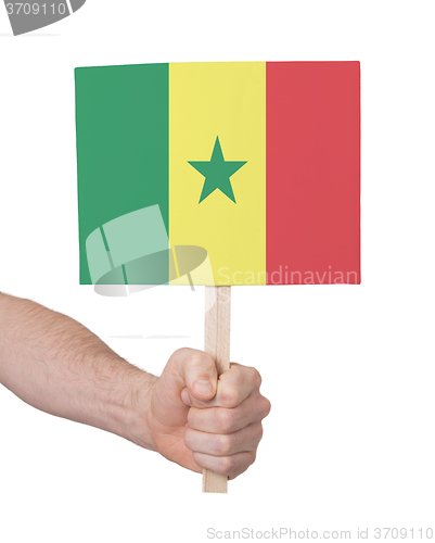 Image of Hand holding small card - Flag of Senegal