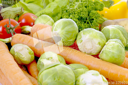 Image of Fresh Vegetable