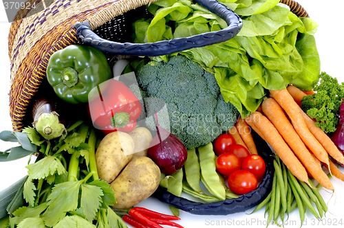 Image of Fresh Vegetable