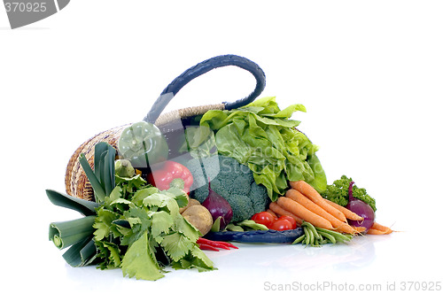 Image of Fresh Vegetable