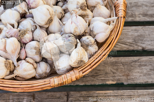 Image of Garlic in rustic basket.