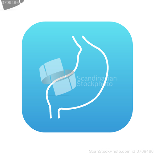 Image of Stomach line icon.