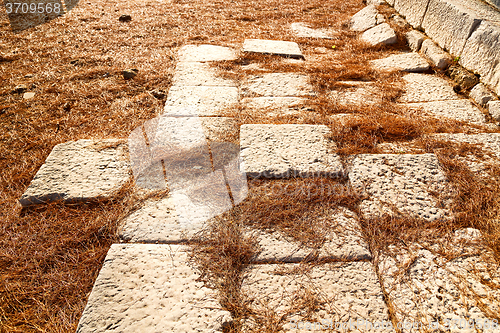 Image of pine needles    ruins stone and 