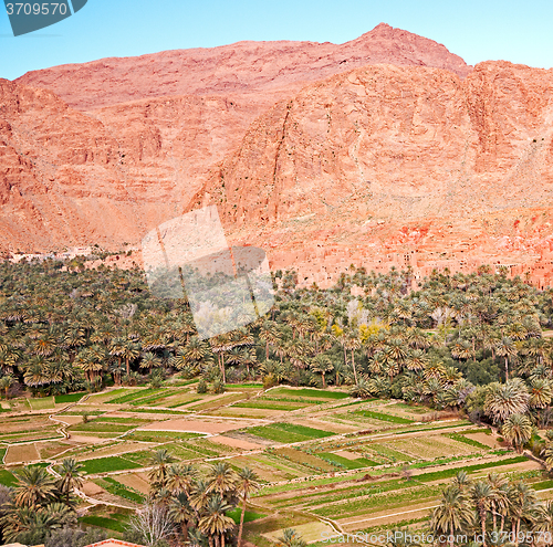 Image of  in todra gorge morocco africa and  village