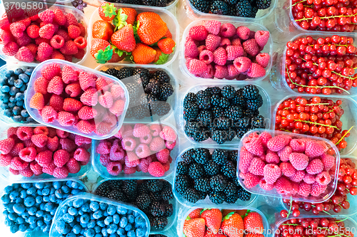 Image of Berries in boxes.