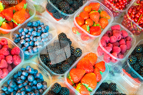 Image of Berries in boxes.