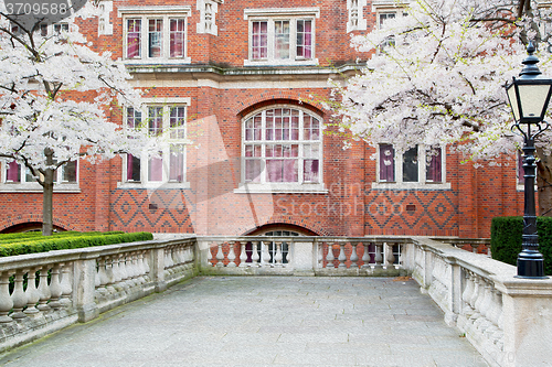 Image of tree  window in europe london  red brick wall     and      histo