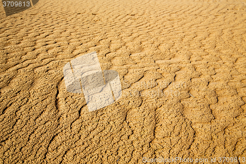 Image of africa the brown   dune in   sahara t line