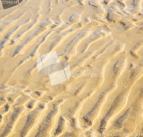 Image of dune morocco in africa brown coastline wet sand beach near atlan