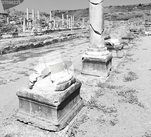 Image of perge old construction in asia turkey the column  and the roman 