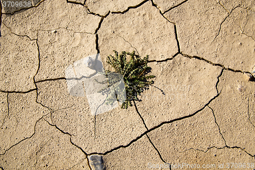 Image of brown dry sand in  bush stone rockerosion and 