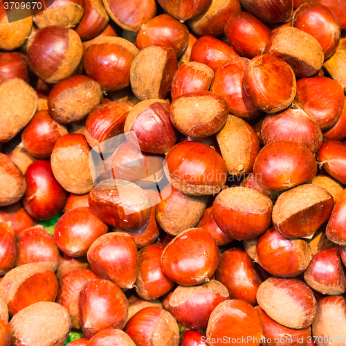 Image of Pile of chestnuts.