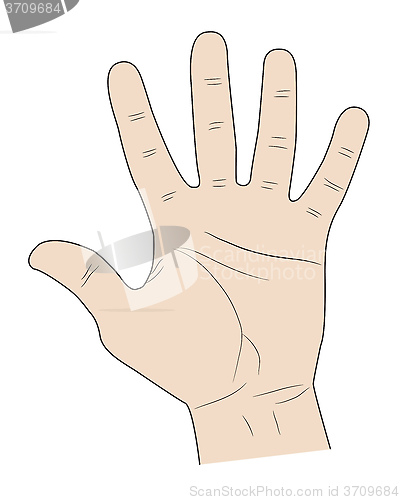 Image of five fingers of a hand