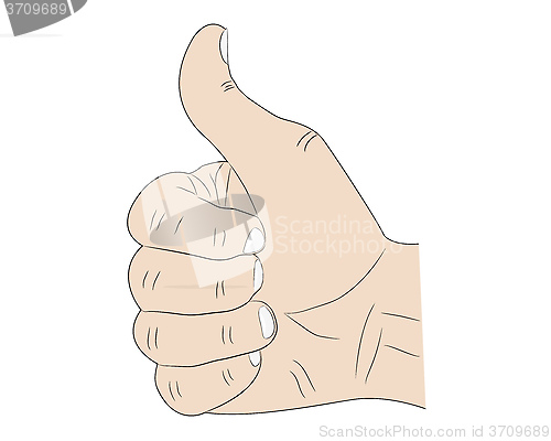 Image of hand thumb up