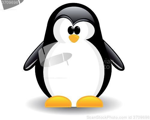 Image of one penguin