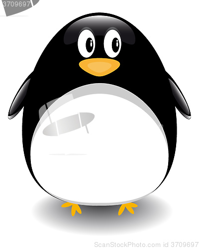Image of penguin