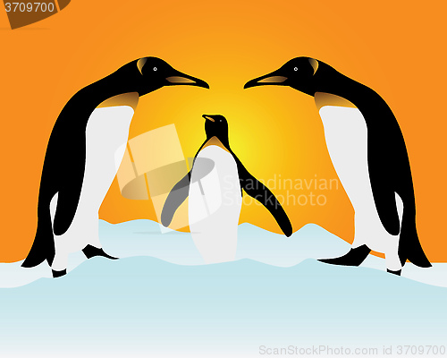 Image of The penguins