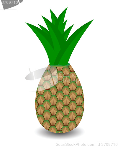 Image of pineapple with green leaf