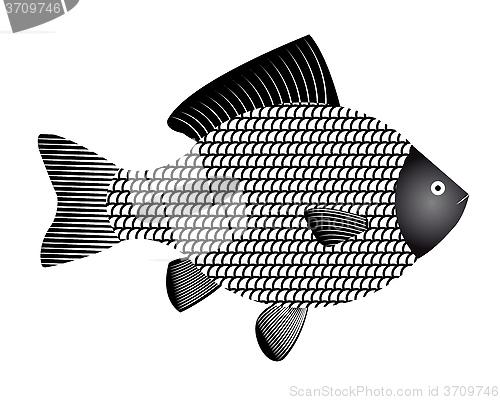 Image of fish
