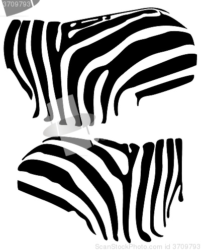 Image of zebra stripes