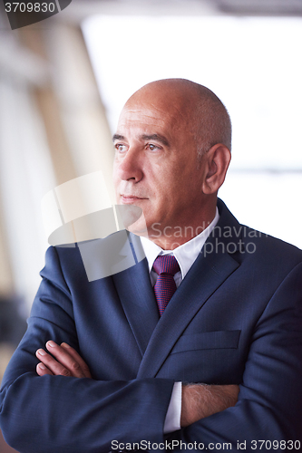 Image of senior business man portrait