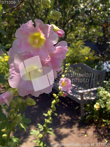 Image of Peaceful Gardens