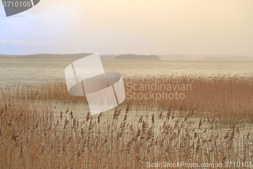 Image of Fog over Sea in Winter 