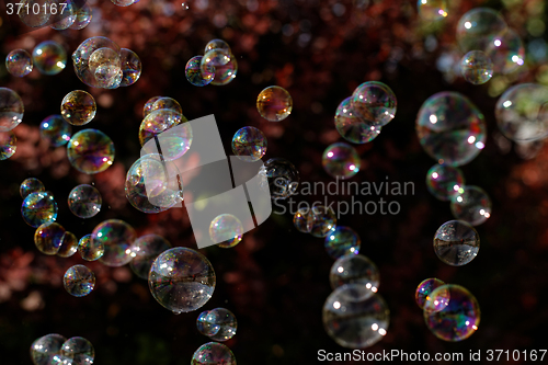 Image of Soap bubbles