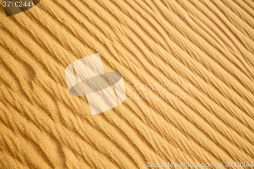 Image of africa the brown sand  in   sahara morocco desert