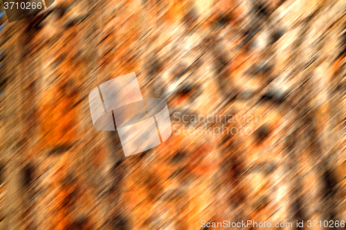 Image of barck in the abstract close up of a tree color and texture