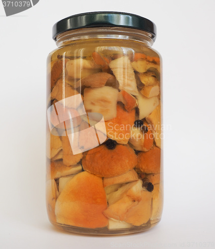 Image of Porcini mushroom jar