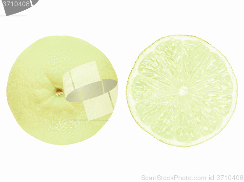 Image of Retro looking Lime fruit