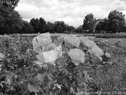 Image of Gardens in Stuttgart Germany