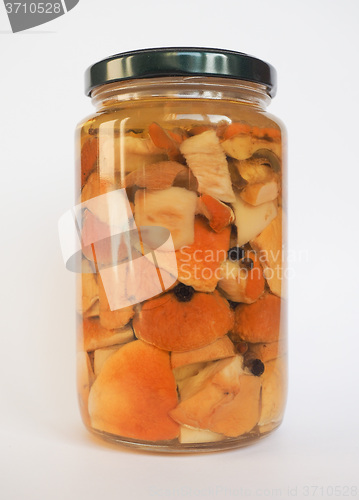 Image of Porcini mushroom jar