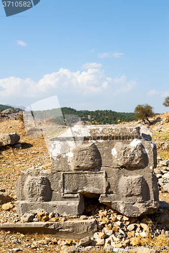 Image of from the     turkey selge and nature 