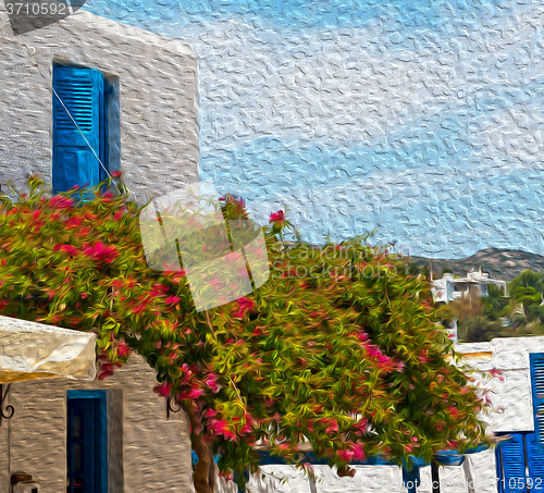 Image of flower   in the isle of greece antorini europe old house and whi