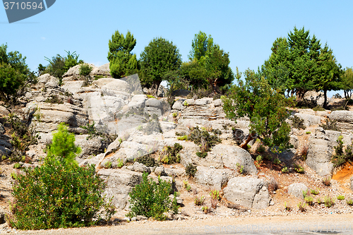 Image of from the hill  turkey  ruins and nature 