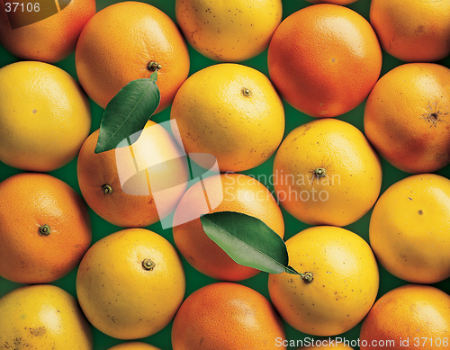 Image of Oranges