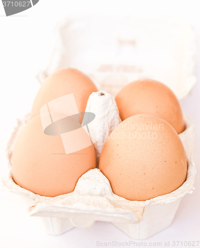 Image of Retro looking Eggs picture