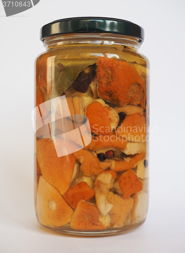 Image of Porcini mushroom jar