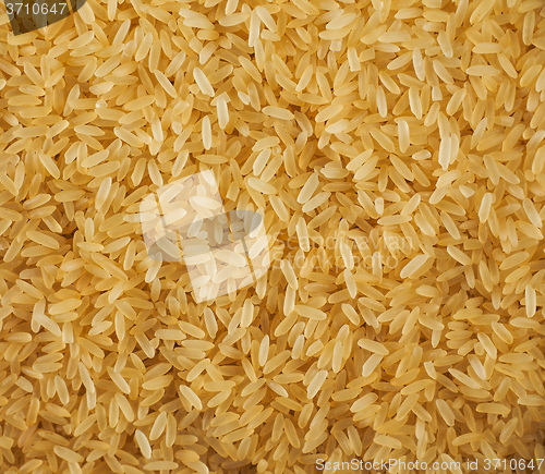 Image of Parboleid rice