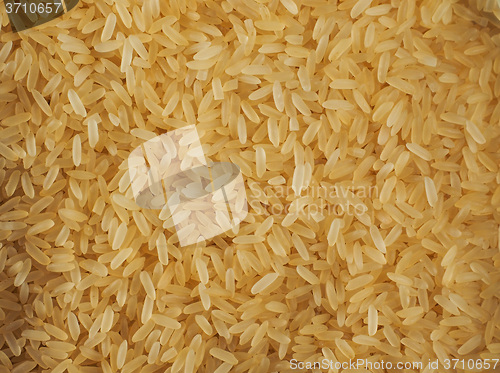 Image of Parboleid rice