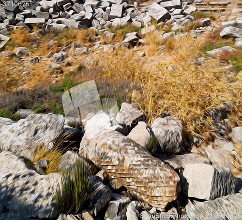 Image of the old  temple and theatre in termessos antalya turkey asia sky