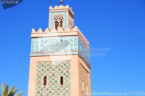 Image of history  maroc africa    palm